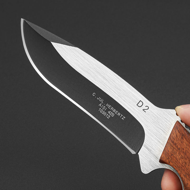 1PC Stainless Steel Kitchen Kn - مراجعة Bushcraft Knife Fixed وسعره