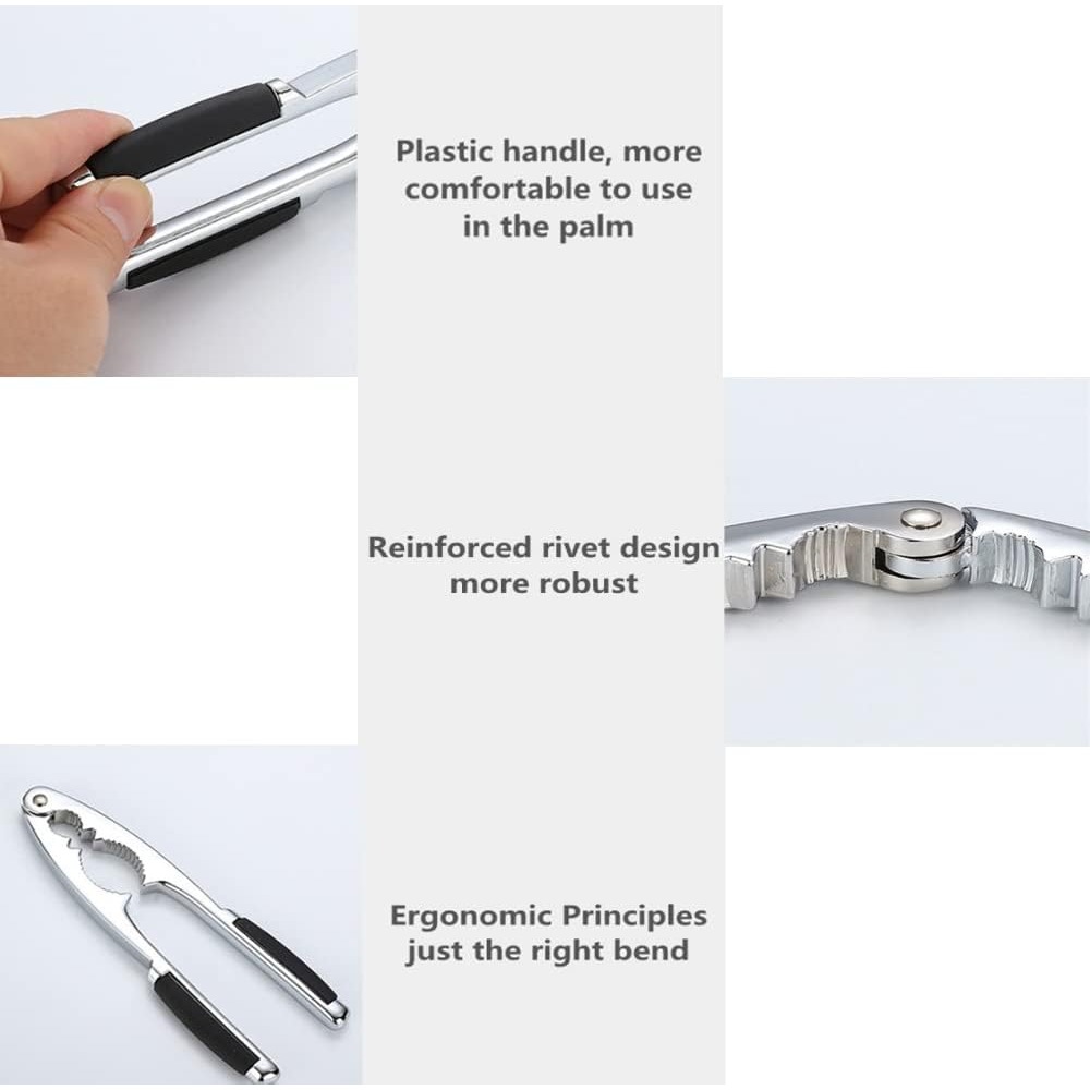 Nuts Walnuts Clip Almond Hazel - مراجعة Multi Tool Plier وسعره